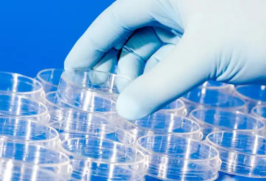 injection mould injection mould