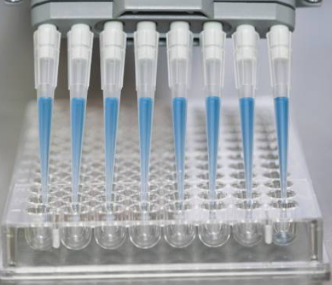 注塑模具首選鴻仁威爾 注塑模具首選鴻仁威爾